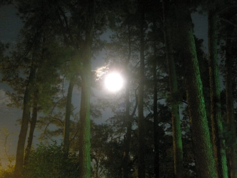 What I Learned When the Lights Went Out