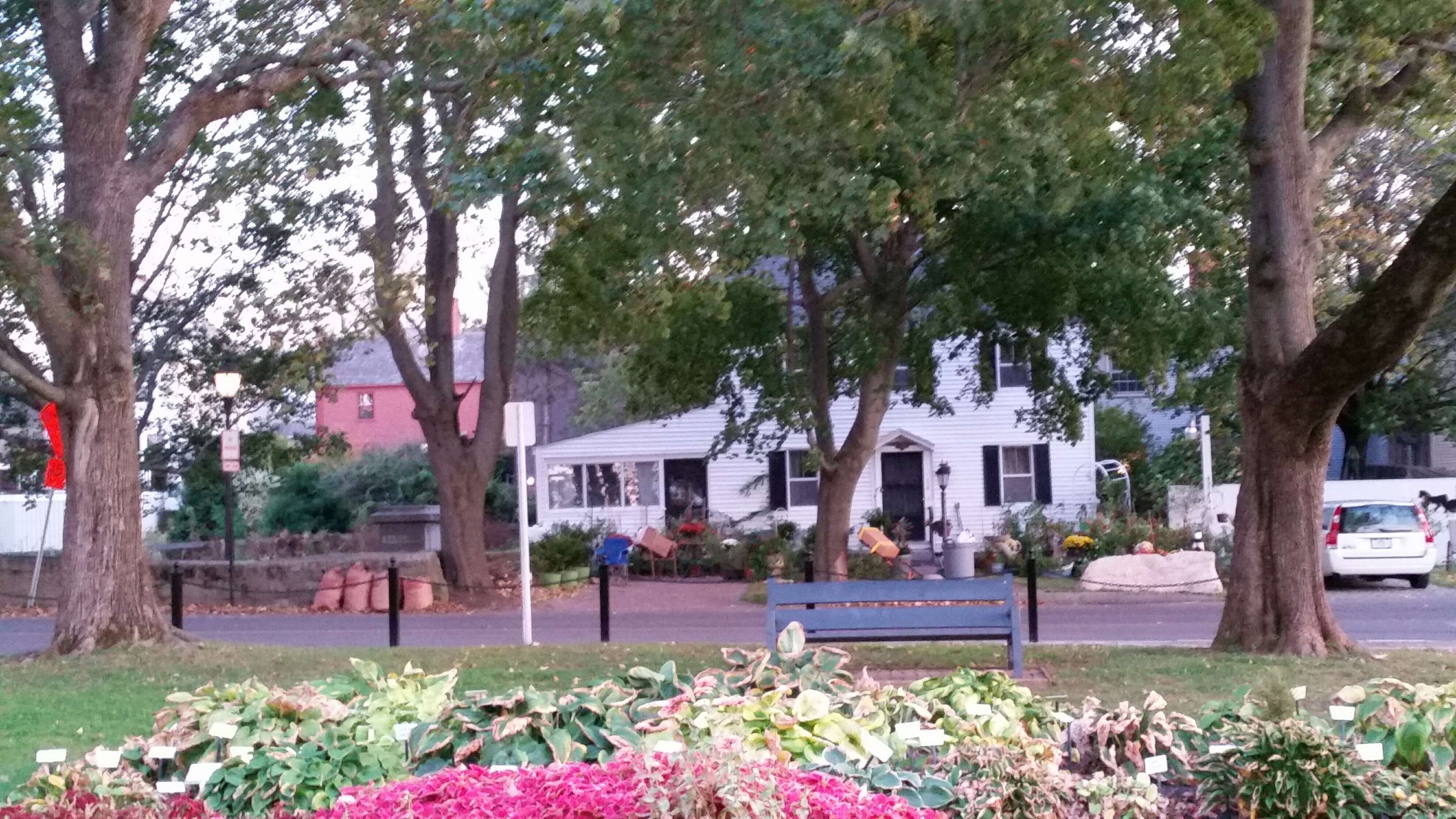 How to Fall in Love with Your Town All Over Again