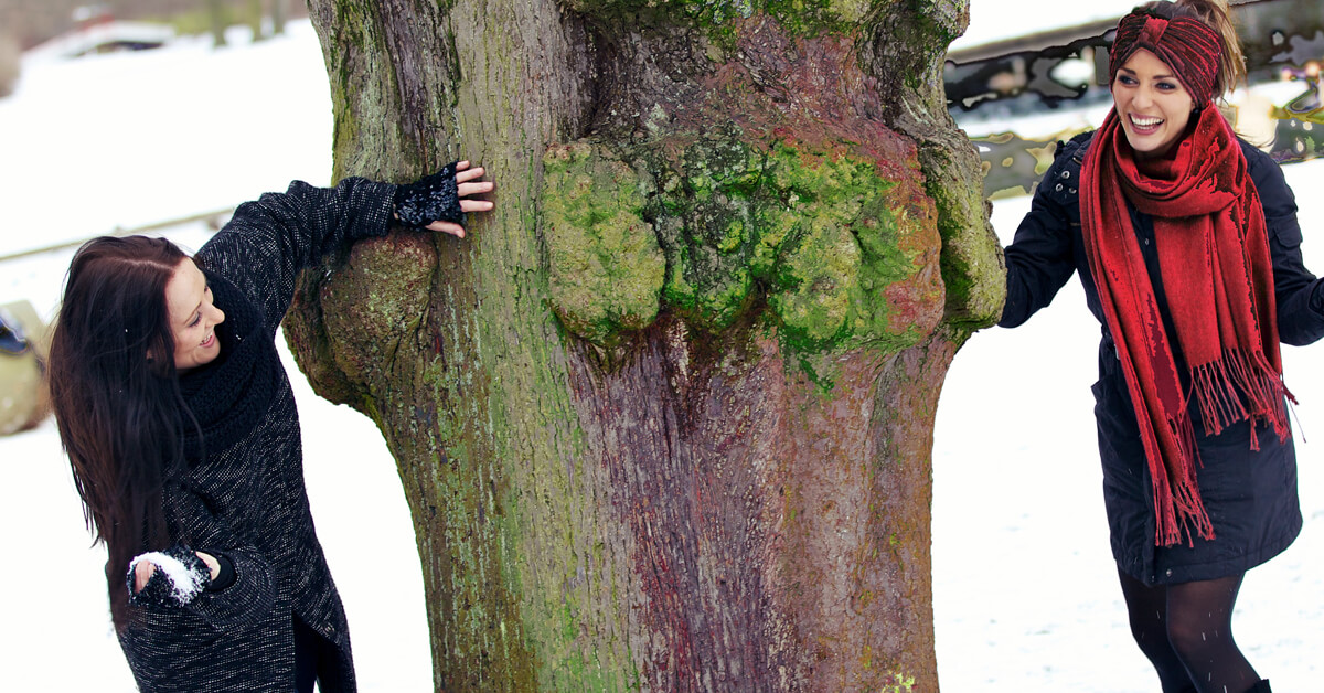 Your Guide to Surviving the Rest of Winter